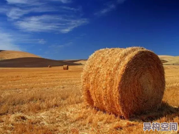 久久青青草原国产精品免费反映了草根文化与网络传播现象值得深入研究其社会影响和文化内涵